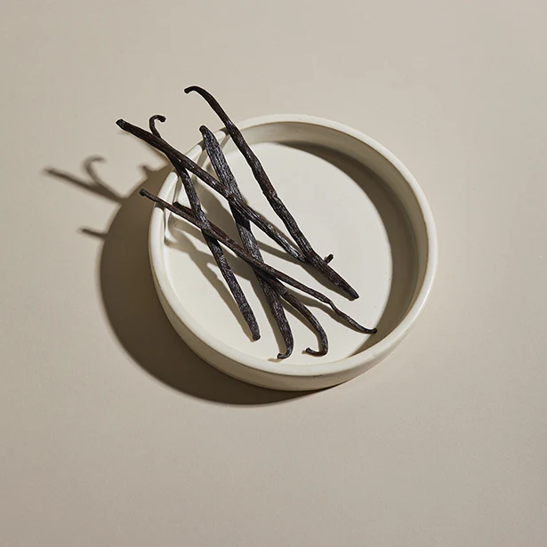 Vanilla Bean
