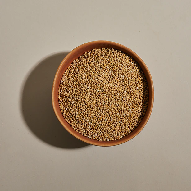 Mustard Seed