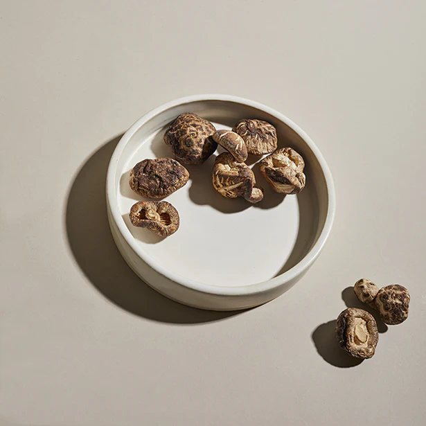 Shiitake Mushroom