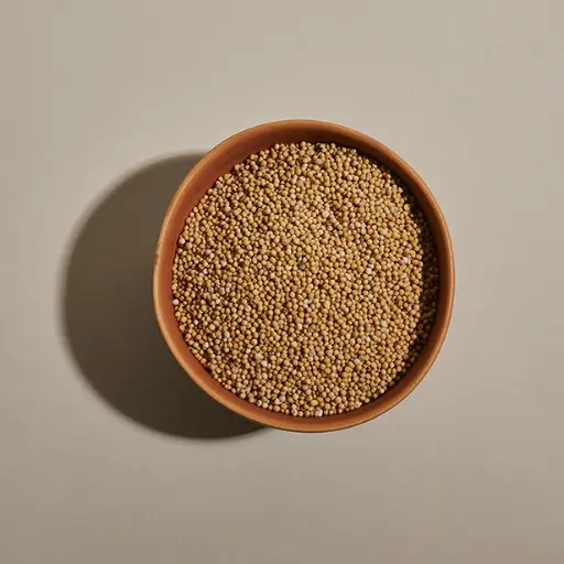 Mustard Seed